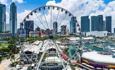 a ferris wheel in front of a city at Home Sweet Home in Miami