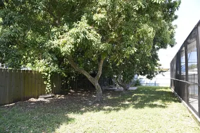 a tree in a yard next to a fence at Airbnb rental in Miami