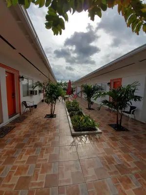 an empty hallway with trees and chairs in a building at Royal Budget Inn in Miami