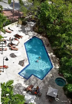 an overhead view of a swimming pool with people in it at Relaxing Condo Hotel In The Grove, Free Parking in Miami