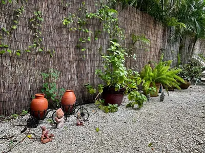 a bunch of plants in pots next to a wall at Flora's Garden Apartment/Studio in North Miami