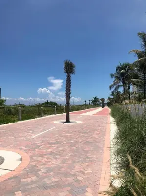 a brick road with a palm tree in the middle at Apartamento en Miami Beach sobre la playa in Miami Beach
