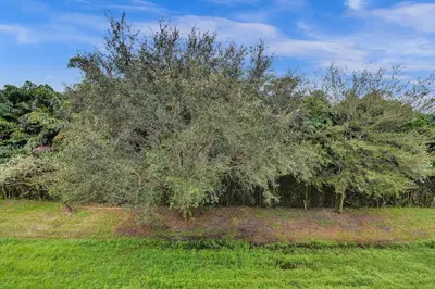 a large tree in the middle of a field at Villa Vista-2 Story w 3Bdrms & Golf View in Miami