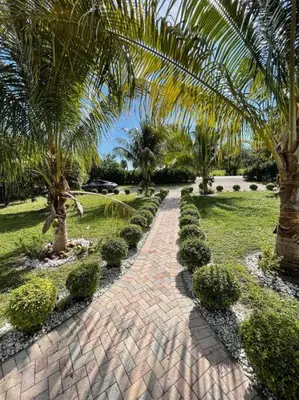 a brick walk way with palm trees and bushes at HOUSE WITH POOL, 10 MINS DRIVE TO THE BEACH! in Miami Shores