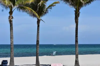 a group of palm trees on a beach with the ocean at 2 Full Bed BeachWalk Studio, Ocean Nearby, Feels Like Home in Hallandale Beach