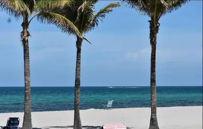 two palm trees and a chair on the beach at Modern Studio Escape at BeachWalk, Perfect for Small Groups -B in Hallandale Beach