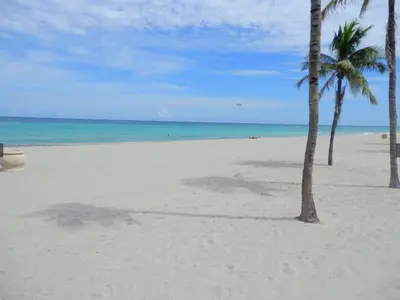 a beach with two palm trees and the ocean at 310 Oasis Paradise in Hollywood