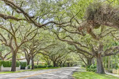 a road lined with trees in a park at Refreshing Miami Apartment 4 Mi to the Beach! in Miami