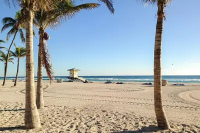 a beach with palm trees and the ocean at Hollywood Bungalow in Hollywood