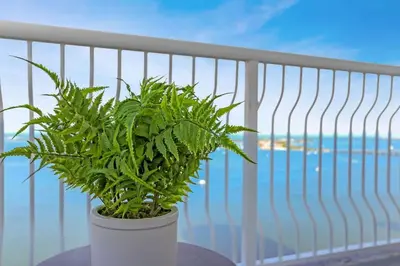 a potted plant sitting on a table on a balcony at Brickell Bay View Oasis with Pool Hot Tub and Gym in Miami
