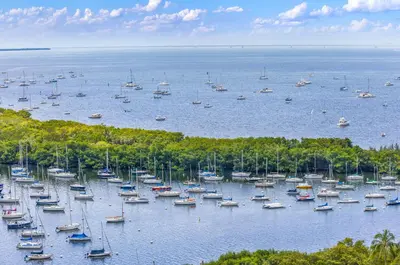 an aerial view of a harbor filled with boats at 1-BD Condo in Coconut Grove - Water Views in Miami