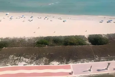 an aerial view of a beach with birds on the sand at Pavilion - Best ocean sunrise-Miami Beach in Miami Beach