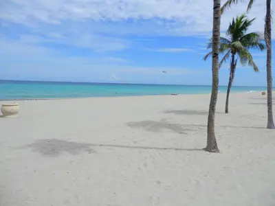 a beach with two palm trees and the ocean at 316 Footloose #1 in Hollywood