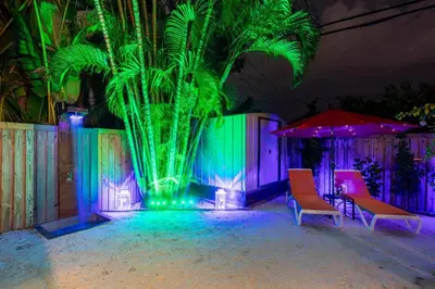 a palm tree is lit up with purple and green lights at Blue Ocean Vacation Home 1 in Fort Lauderdale