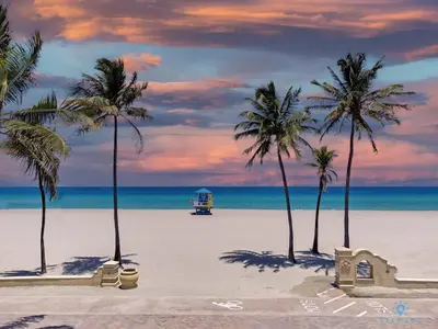 a group of palm trees on a beach with the ocean at Free Parking - Bay View - Pool -Step To Beach in Hollywood