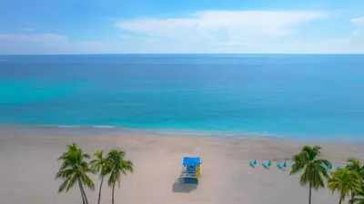 a blue truck on a beach with palm trees and the ocean at Quiet Oasis Steps From Shops with Golf View-CS61 in Hollywood