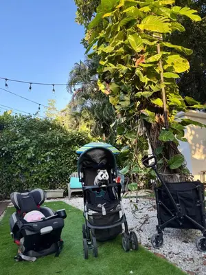 two strollers sitting on the grass next to a tree at Beach vibes 2 bedrooms house in Miami
