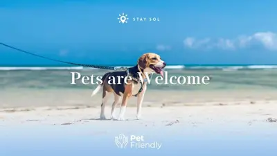 a dog on a leash on the beach at Amazing Pool - Hot Tub - Hollywood Beach Haven in Hollywood