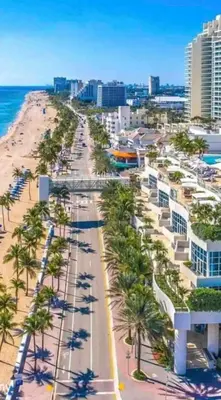 a view of a beach with palm trees and buildings at Condo, Breathtaking Water views, King Suite, Hilton Property in Fort Lauderdale