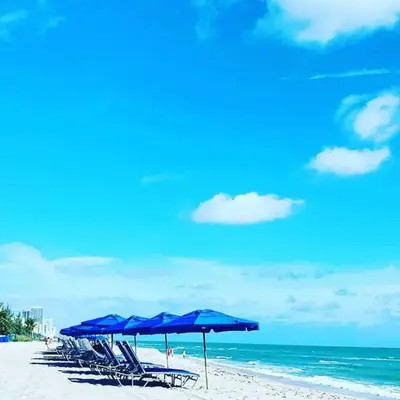 Pet-Friendly Aventura Pool