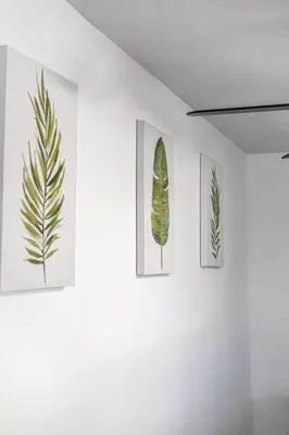 four framed prints of plants on a white wall at Biscayne Shore #2 - 3 2 - Charming and Tropical in Miami