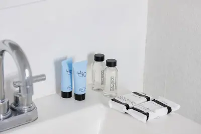a bathroom counter with bottles of soap and a sink at Treehouse Hotel in Miami