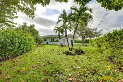 a yard with palm trees and a white house at Spacious and Serene Miami Home Walk to Metrorail! in Miami