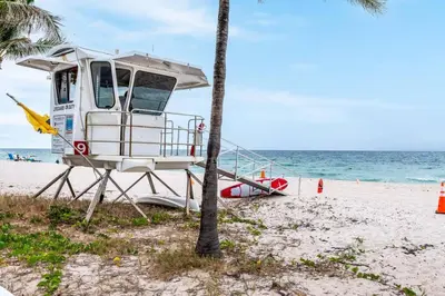 a lifeguard boat on the beach next to a palm tree at Bayshore Breeze Free Parking 1 in Fort Lauderdale