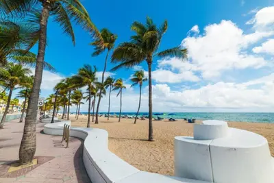 a sandy beach with palm trees and the ocean at The Dolphin Studio at Lake Ridge in Fort Lauderdale