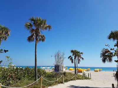 a beach with palm trees and the ocean at Miami Beach Getaway 100 yards from Beach in Miami Beach