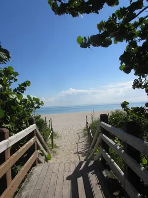 a boardwalk to the beach with the ocean in the background at Ocean Dream by the Beach in Miami Beach