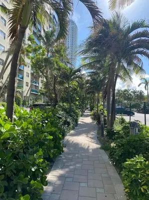 a walkway with palm trees on a city street at Compact & Comfy, BeachWalk Studio for Small Groups in Hallandale Beach