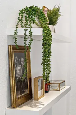 a shelf with a picture and a plant on it at Stylish 2 BR condo - close to Riverwalk in Fort Lauderdale