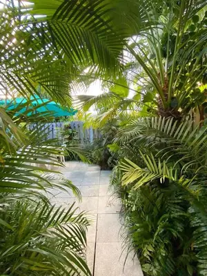 a garden with palm trees and a walk way at Delight and cozy Apt close to Las Olas & the beach in Fort Lauderdale