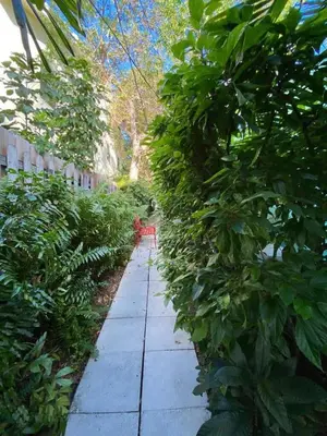 a garden path with a red bench in the middle at Beautiful Apt in Victoria Park (Las Olas Blvd) in Fort Lauderdale
