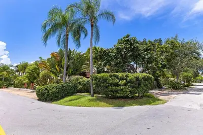 a street with palm trees and bushes in a park at Bright and Stylish Apt in Las Olas Blvd Victoria Park in Fort Lauderdale