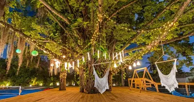 a tree with lights hanging from it with a swing at New Hidden Gem in Miami