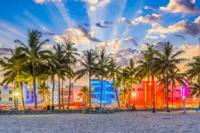 a group of palm trees in front of a building at NEW! Havana Nights Villa ! Walk to Calle Ocho! in Miami