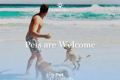 a man playing with two dogs on the beach at Condo Bay View Infinity Pool Beach Service in Hollywood
