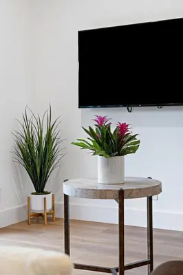 two potted plants sitting on a table in a living room at Sailors Rest @ Sailboat Bend in Fort Lauderdale