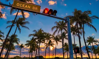 a traffic light with a street sign and palm trees at South Beach One Bedroom Condo with Parking Spot in Miami Beach