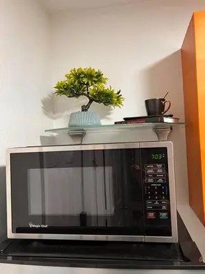 a microwave with a plant on top of it at Casita Cafe in Miami
