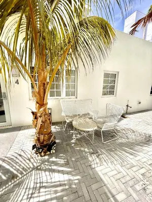 a palm tree sitting next to a table and chairs at 20 GUESTS LUXURIOUS SOUTH BEACH SUITE 2 in Miami Beach