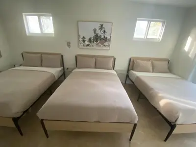 a group of beds in a room with windows at Entire home in Biscayne Park, Florida in Biscayne Park