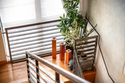 a staircase with a plant and a cat sitting on the floor at The Netherland by MIAMI BEACH OCEAN RENTAL in Miami Beach