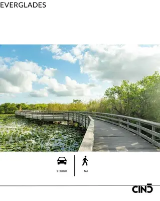 a picture of a bridge over a river with trees at The Netherland by MIAMI BEACH OCEAN RENTAL in Miami Beach