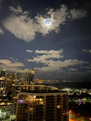 a view of a city at night with the moon at Luxury Penthouse with Private Rooftop Terrace in Coconut Grove Hotel in Miami