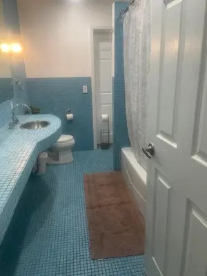 a bathroom with a sink and a toilet and a shower at Fort Lauderdale Party house! in Fort Lauderdale