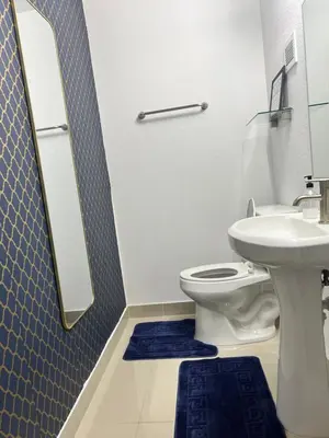 a bathroom with a toilet and a sink and a mirror at NEW 3 Story in Homestead- 3/2.5 Balcony & Rooftop in Homestead