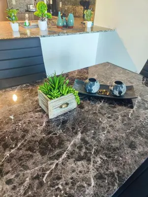 a kitchen counter with a plant in a wooden box at Stylish 1-Bedroom Getaway Apt- pool & gym in Miami